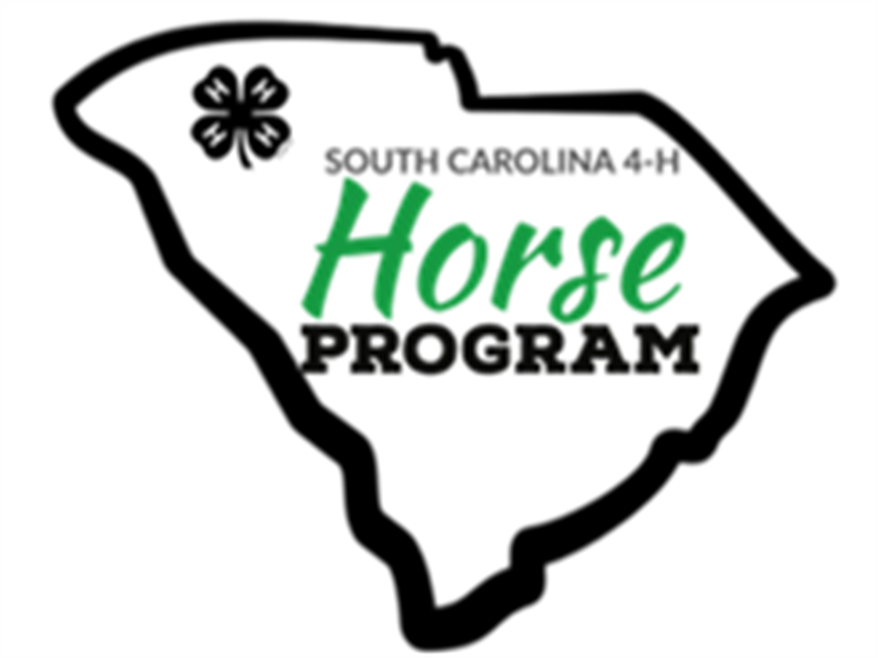 2024 South Carolina 4H Horse Show